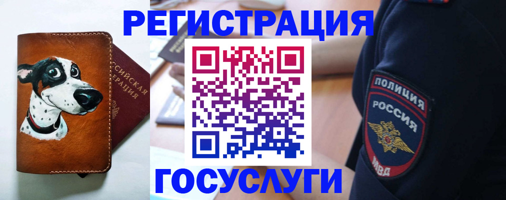 временная регистрация в квартире в Николаевске-на-Амуре